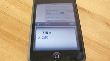 ipod_touch11.jpg