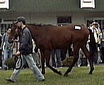 97-1