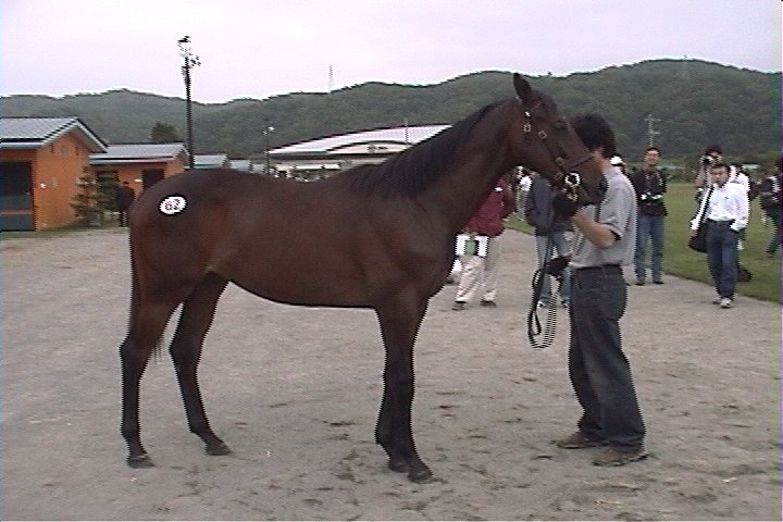 2-62