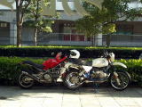 JtF̑猩2