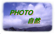 Photo Nature