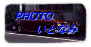Photo Life
