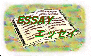 Essay